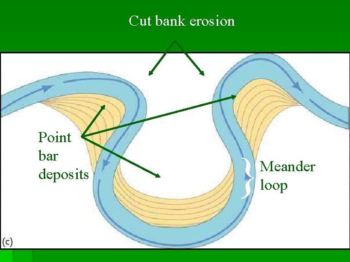 Cut bank erosion Point bar deposits } Meander loop 