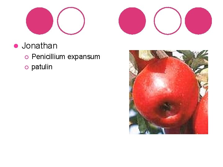 l Jonathan ¡ ¡ Penicillium expansum patulin 