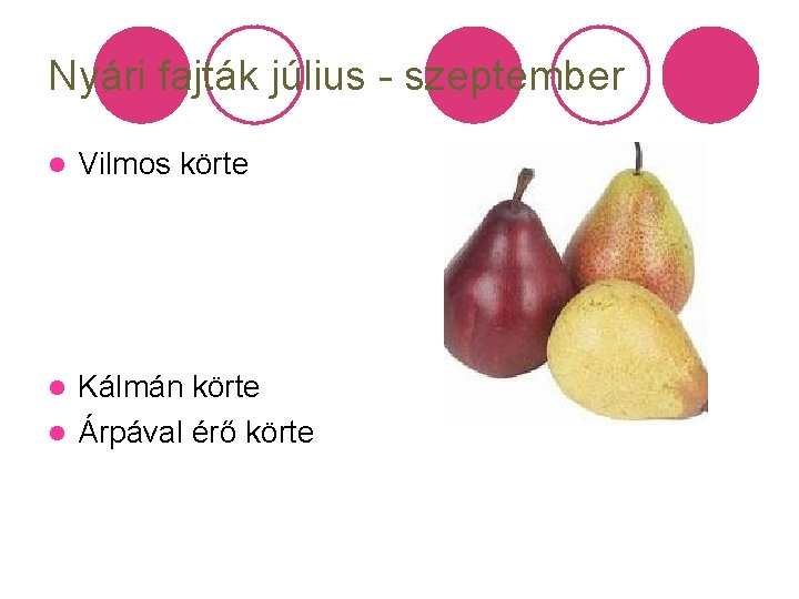 Nyári fajták július - szeptember l Vilmos körte Kálmán körte l Árpával érő körte