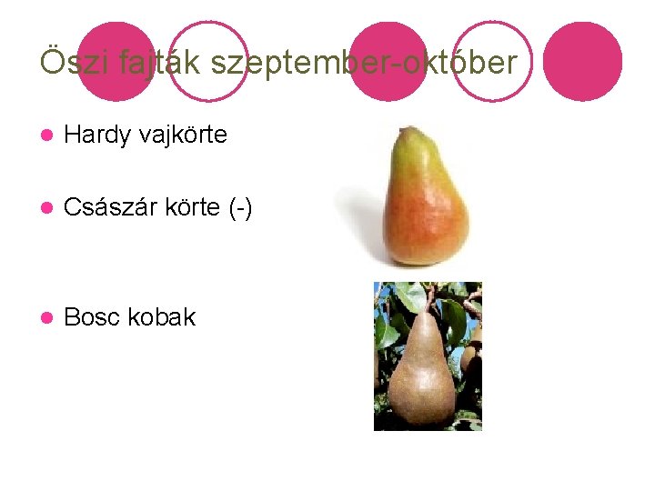 Öszi fajták szeptember-október l Hardy vajkörte l Császár körte (-) l Bosc kobak 