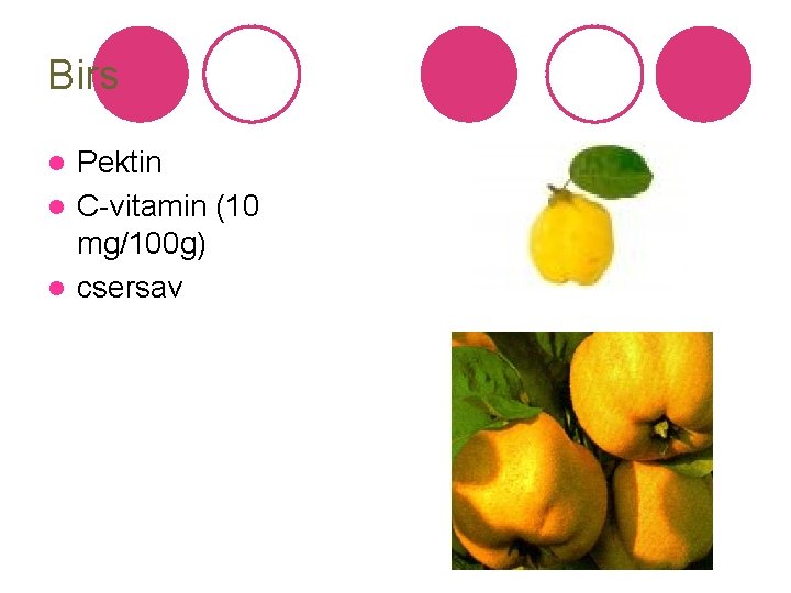 Birs Pektin l C-vitamin (10 mg/100 g) l csersav l 