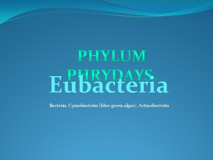 Eubacteria Bacteria, Cyanobacteria (blue-green algae), Actinobacteria 