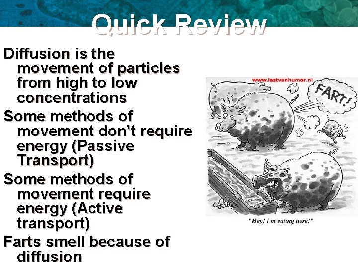 Quick Review Diffusion is the movement of particles from high to low concentrations Some