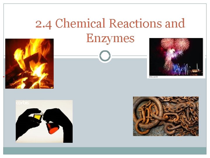 2. 4 Chemical Reactions and Enzymes 