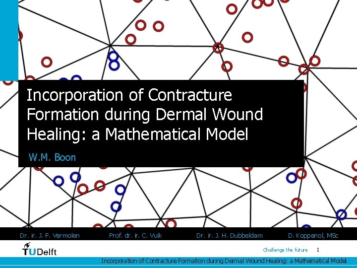 Incorporation of Contracture Formation during Dermal Wound Healing: a Mathematical Model W. M. Boon