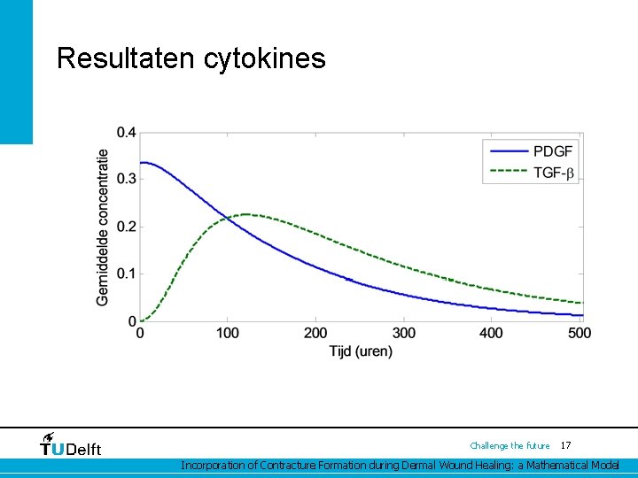 Resultaten cytokines Challenge the future 17 Incorporation of Contracture Formation during Dermal Wound Healing: