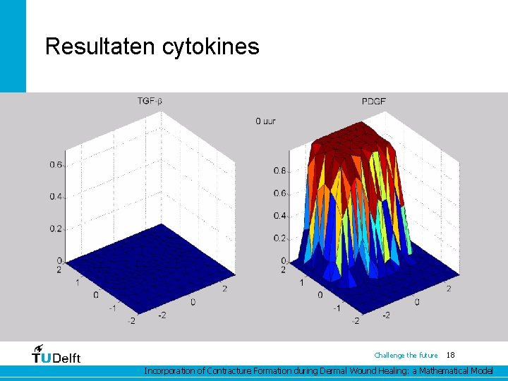 Resultaten cytokines Challenge the future 18 Incorporation of Contracture Formation during Dermal Wound Healing: