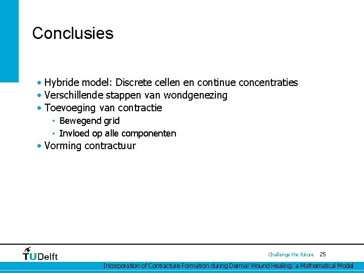 Conclusies • Hybride model: Discrete cellen en continue concentraties • Verschillende stappen van wondgenezing