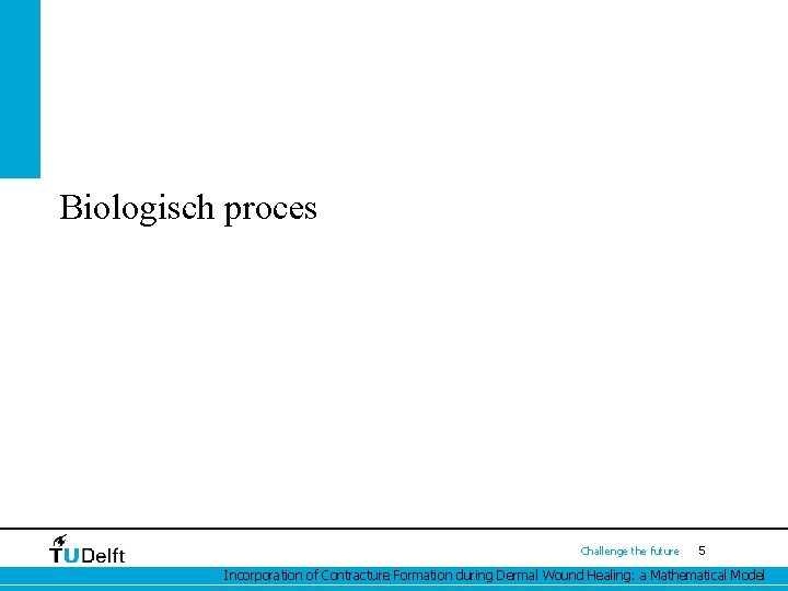 Biologisch proces Challenge the future 5 Incorporation of Contracture Formation during Dermal Wound Healing: