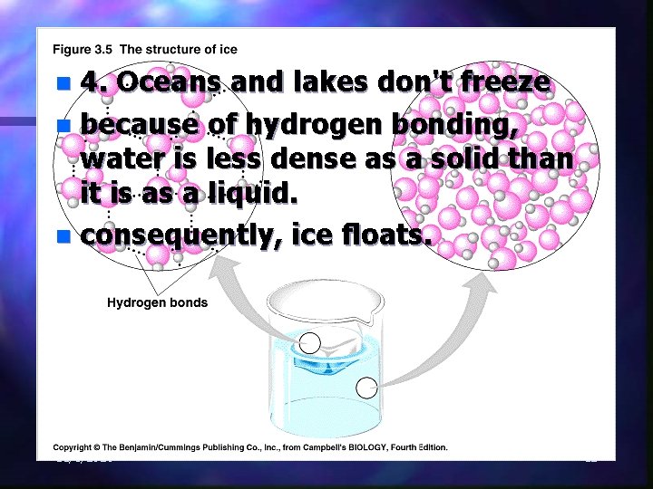 4. Oceans and lakes don't freeze n because of hydrogen bonding, water is less