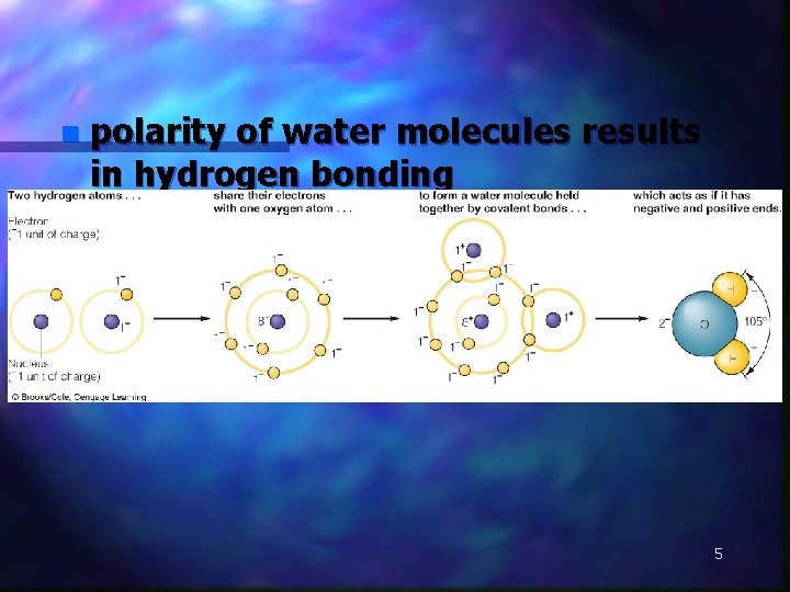 n polarity of water molecules results in hydrogen bonding 5 