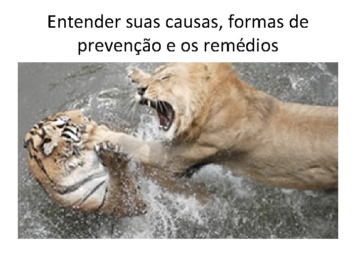 Entender suas causas, formas de prevenção e os remédios Entender suas causas, formas de prevenção e os remédios
