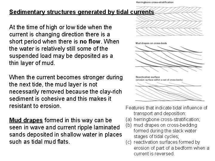 Sedimentary structures generated by tidal currents At the time of high or low tide