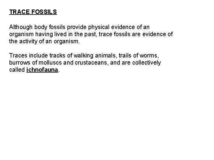 TRACE FOSSILS Although body fossils provide physical evidence of an organism having lived in