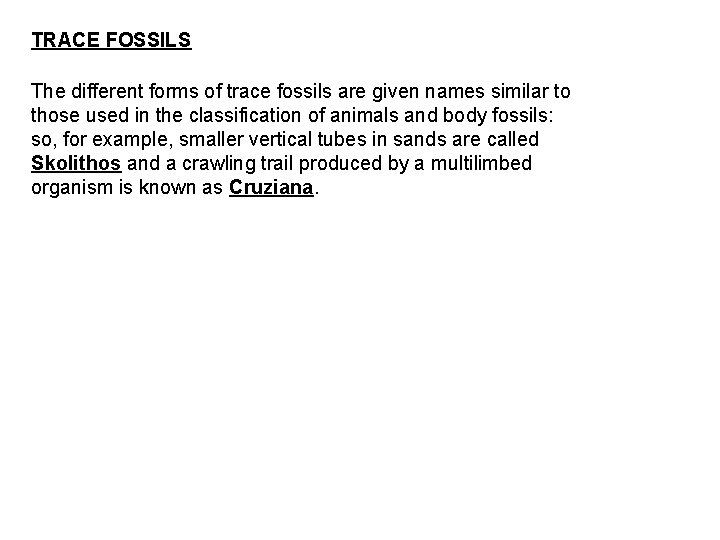 TRACE FOSSILS The different forms of trace fossils are given names similar to those