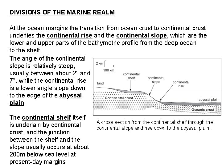 DIVISIONS OF THE MARINE REALM At the ocean margins the transition from ocean crust