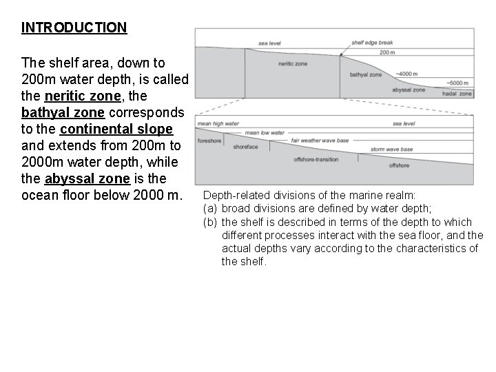 INTRODUCTION The shelf area, down to 200 m water depth, is called the neritic