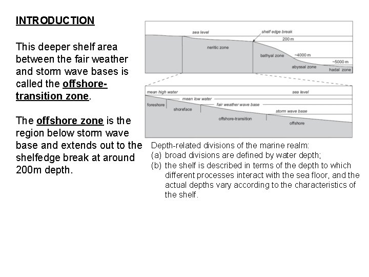 INTRODUCTION This deeper shelf area between the fair weather and storm wave bases is