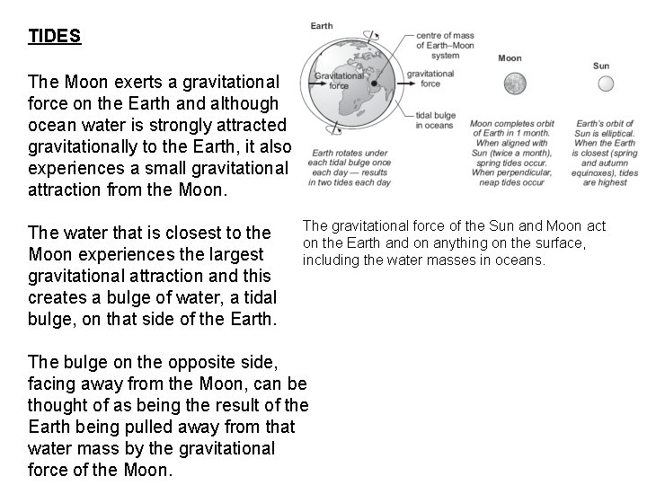 TIDES The Moon exerts a gravitational force on the Earth and although ocean water