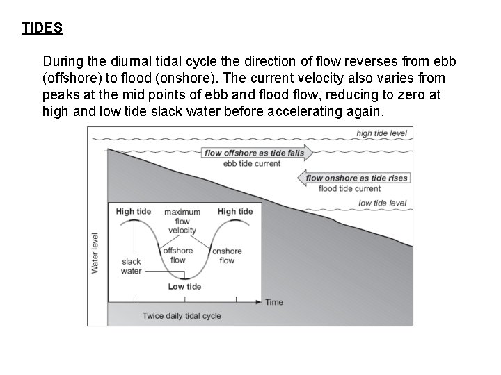 TIDES During the diurnal tidal cycle the direction of flow reverses from ebb (offshore)