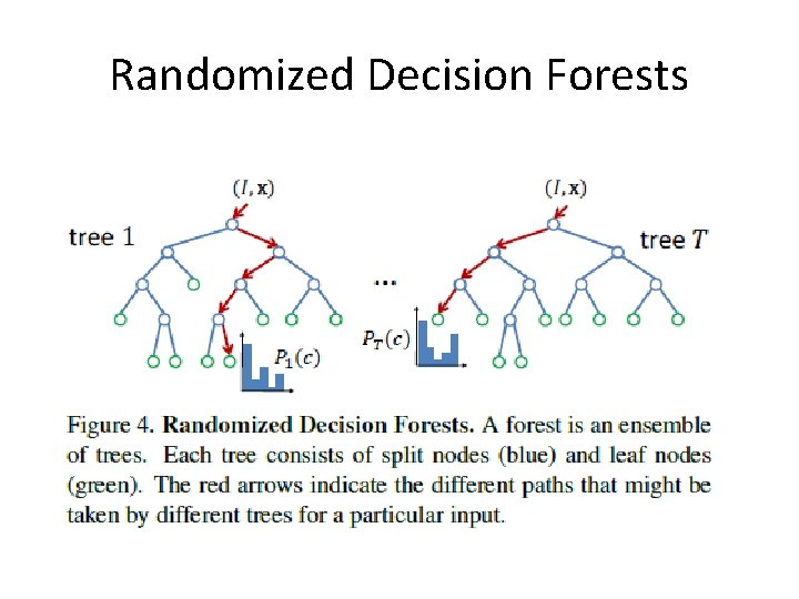 Randomized Decision Forests 