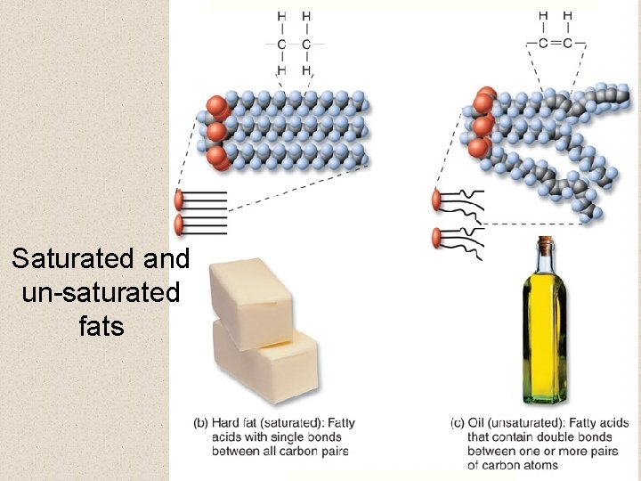 Saturated and un-saturated fats 