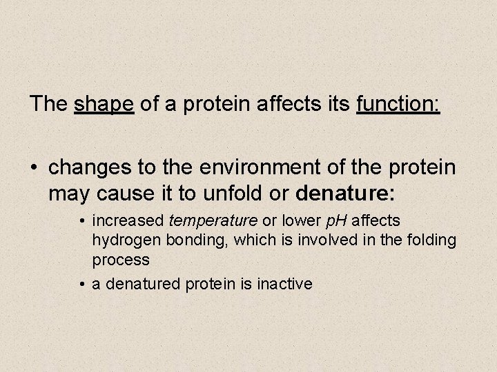 The shape of a protein affects its function: • changes to the environment of