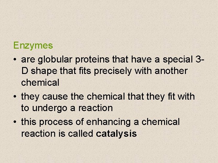 Enzymes • are globular proteins that have a special 3 D shape that fits