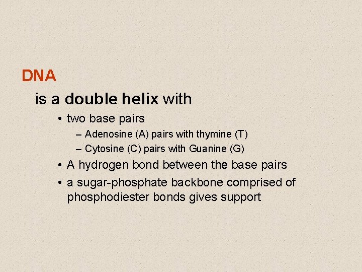 DNA is a double helix with • two base pairs – Adenosine (A) pairs