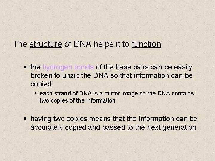 The structure of DNA helps it to function § the hydrogen bonds of the