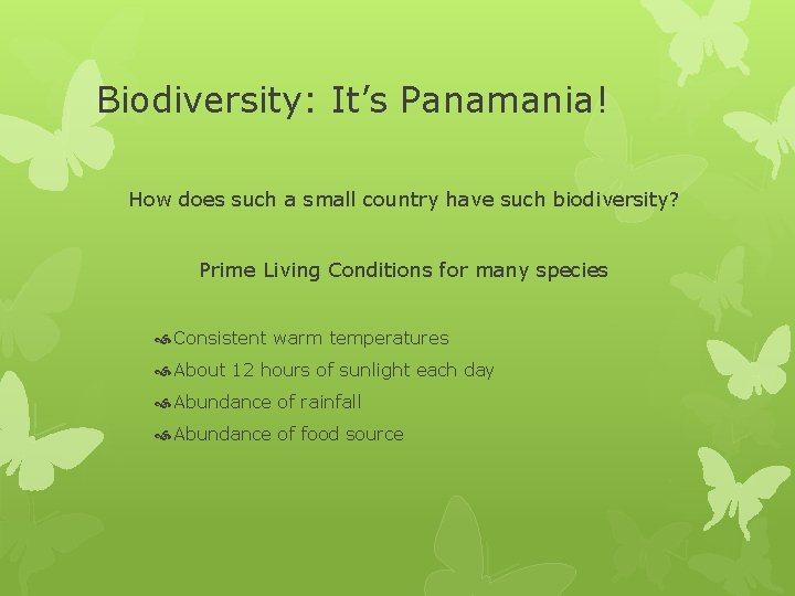 Biodiversity: It’s Panamania! How does such a small country have such biodiversity? Prime Living Biodiversity: It’s Panamania! How does such a small country have such biodiversity? Prime Living