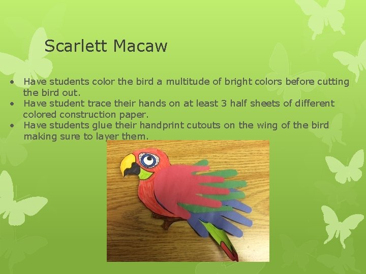 Scarlett Macaw • Have students color the bird a multitude of bright colors before Scarlett Macaw • Have students color the bird a multitude of bright colors before
