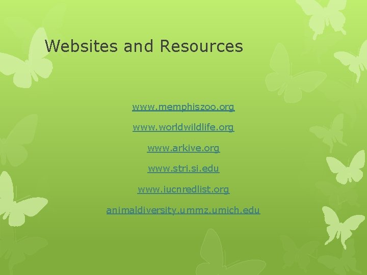 Websites and Resources www. memphiszoo. org www. worldwildlife. org www. arkive. org www. stri. Websites and Resources www. memphiszoo. org www. worldwildlife. org www. arkive. org www. stri.