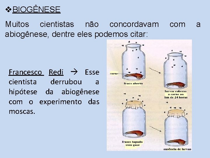 v. BIOGÊNESE Muitos cientistas não concordavam abiogênese, dentre eles podemos citar: Francesco Redi Esse