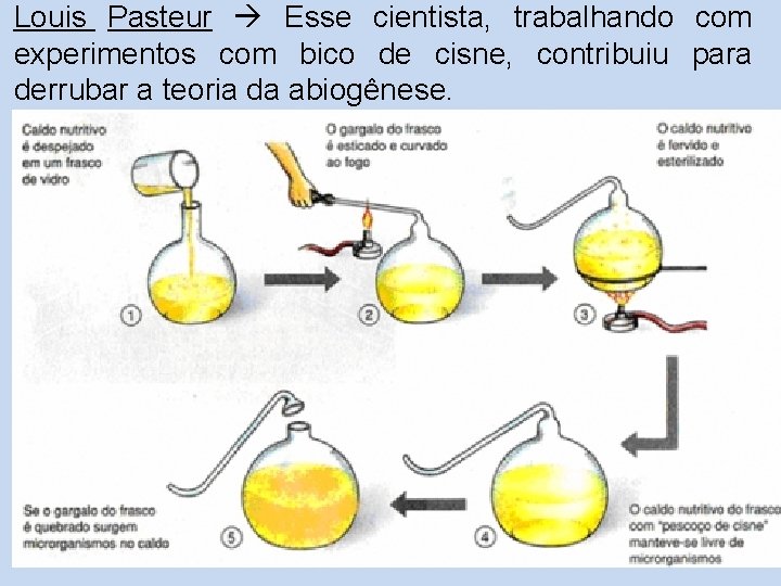 Louis Pasteur Esse cientista, trabalhando com experimentos com bico de cisne, contribuiu para derrubar