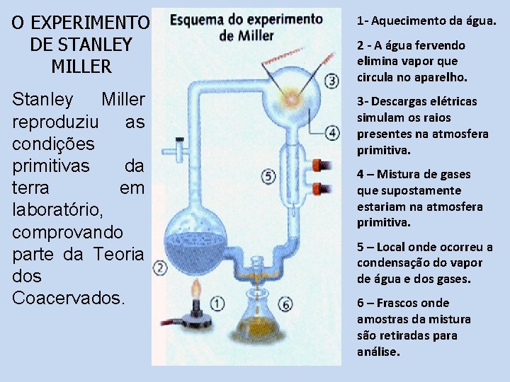 O EXPERIMENTO DE STANLEY MILLER 1 - Aquecimento da água. Stanley Miller reproduziu as