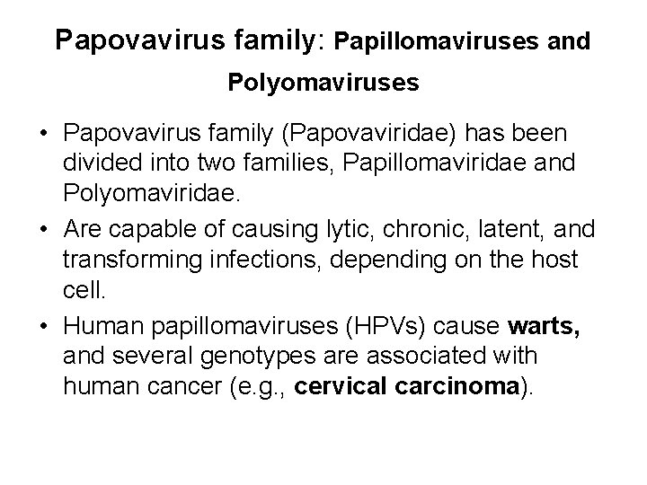 human papilloma virus papovavirus