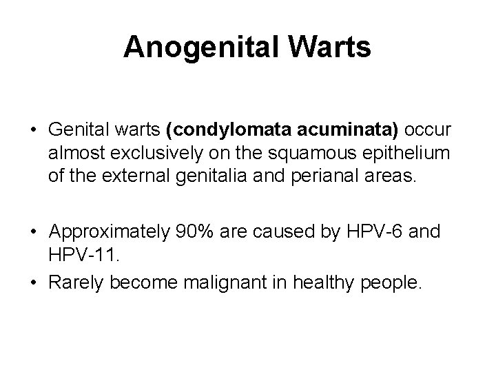 Anogenital Warts • Genital warts (condylomata acuminata) occur almost exclusively on the squamous epithelium