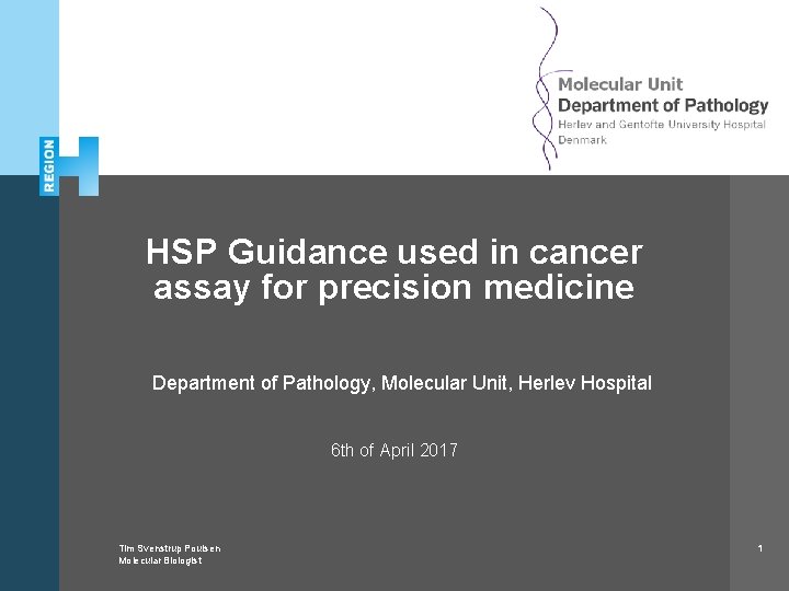 Herlev and Gentofte Hospital HSP Guidance used in cancer assay for precision medicine Department