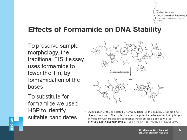 Herlev and Gentofte Hospital Effects of Formamide on DNA Stability To preserve sample morphology,