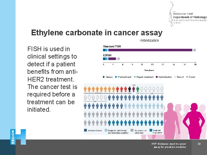 Herlev and Gentofte Hospital Ethylene carbonate in cancer assay FISH is used in clinical