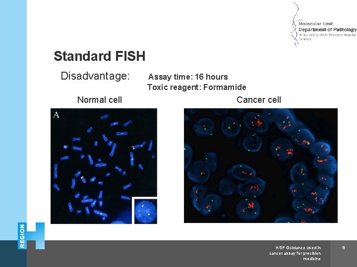 Herlev and Gentofte Hospital Standard FISH Disadvantage: Normal cell Assay time: 16 hours Toxic