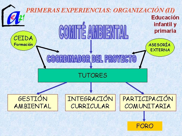 PRIMERAS EXPERIENCIAS: ORGANIZACIÓN (II) Educación infantil y primaria CEIDA Formación ASESORÍA EXTERNA TUTORES GESTIÓN