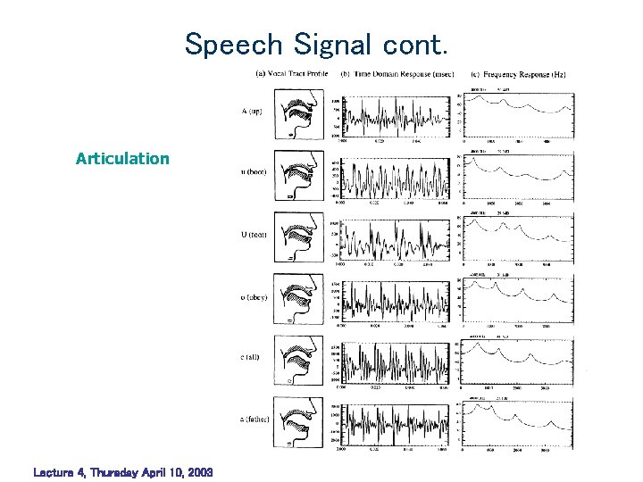 Speech Signal cont. Articulation Lecture 4, Thursday April 10, 2003 Speech Signal cont. Articulation Lecture 4, Thursday April 10, 2003