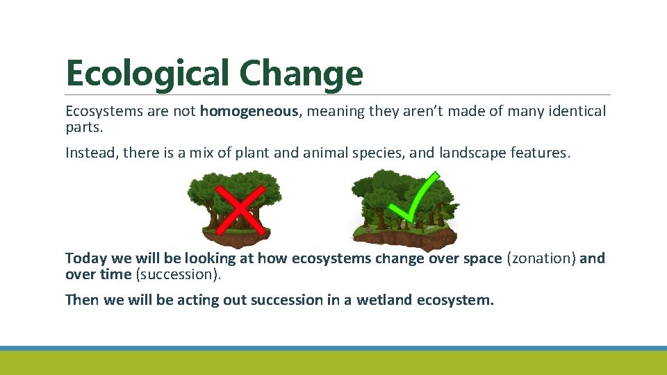 Ecological Change Ecosystems are not homogeneous, meaning they aren’t made of many identical parts.
