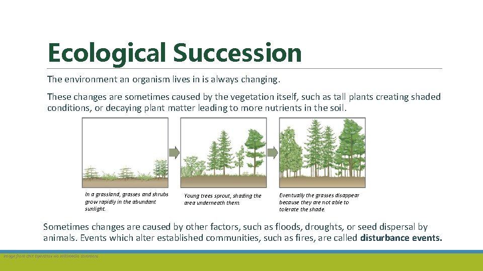 Ecological Succession The environment an organism lives in is always changing. These changes are