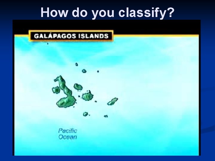 How do you classify? 