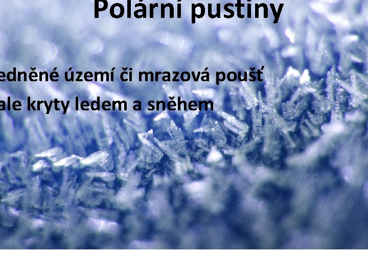 Polární pustiny edněné území či mrazová poušť ale kryty ledem a sněhem 