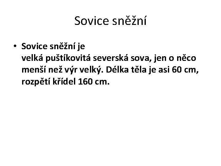 Sovice sněžní • Sovice sněžní je velká puštíkovitá severská sova, jen o něco menší