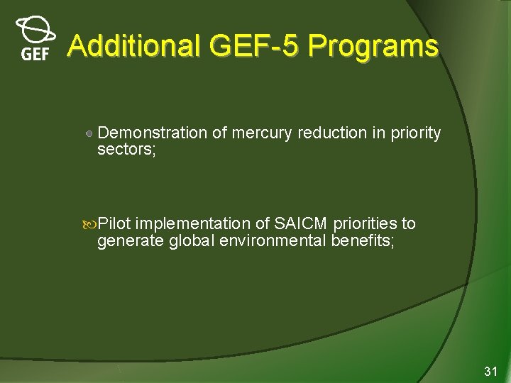 Additional GEF-5 Programs Demonstration of mercury reduction in priority sectors; Pilot implementation of SAICM